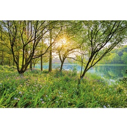 KOMAR Papiertapete »Spring Lake«, Breite: 368 cm, inkl. Kleister - bunt