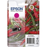 Epson 503