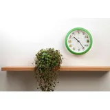 Kookoo KinderLieder Grün, mit 12 bekannten Kinderliedern auf Zither und Altflöte