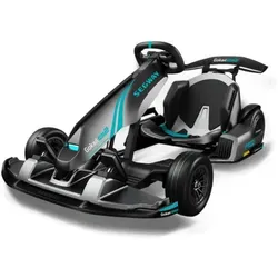 Gokart PRO 2 