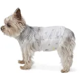 Amazon Basics Hundewindel für Rüden, Einwegwindeln, Größe XS, Weiß, 30 Stück