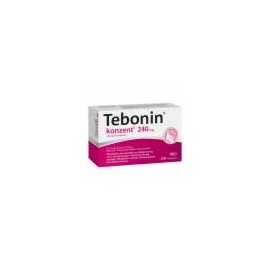 Dr. Willmar Schwabe Tebonin konzent 240 mg Filmtabletten 120 St.