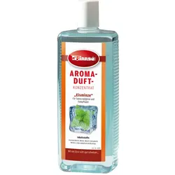 Finnsa Sauna Duftkonzentrat Aroma - Eisminze 1L