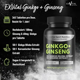 Exvital Ginkgo + Ginseng Tabletten 365 St.