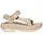 Damen Oyster 40