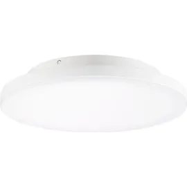 Sigor Aufbauleuchte Shine 300mm 24W 3000/4000K dimmbar 1 St.