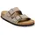 gray taupe 42