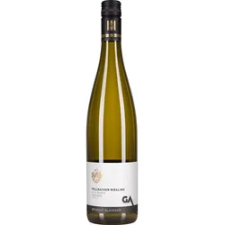 Aldinger Fellbacher Alte Reben Riesling trocken 2023