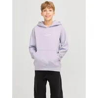 Jack & Jones Junior Hoodie "Vesterbro" in Lila -