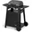 II Pro inkl. Trolley