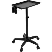 biniliubi Friseurwagen, Salon, Rollen, Spa, Stylist, Friseurstuhl, Kosmetik, Schönheit, Möbel, Ästhetik, Massage, Tisch, Service, Korb, Mobilität, leicht zu bewegen, Höhe verstellbar