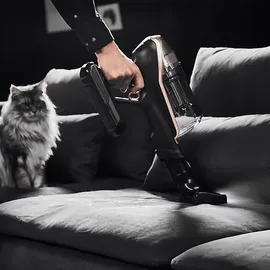 Rowenta RH99F1 X-Force Flex RH99F1