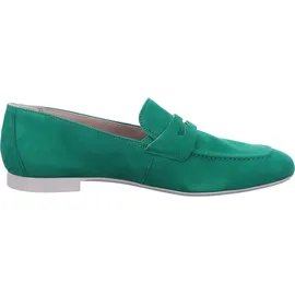 Paul Green 2954 grün 6,5