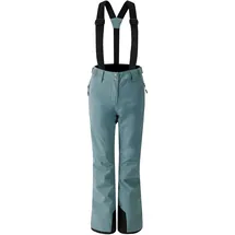 Dare 2b Effused II Ski Pants Element Grey 40