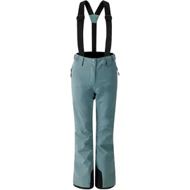 Dare 2b Effused II Ski Pants Element Grey 40