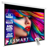 eSmart Economy EXM Motor Leinwand 248,9 cm 98 Zoll