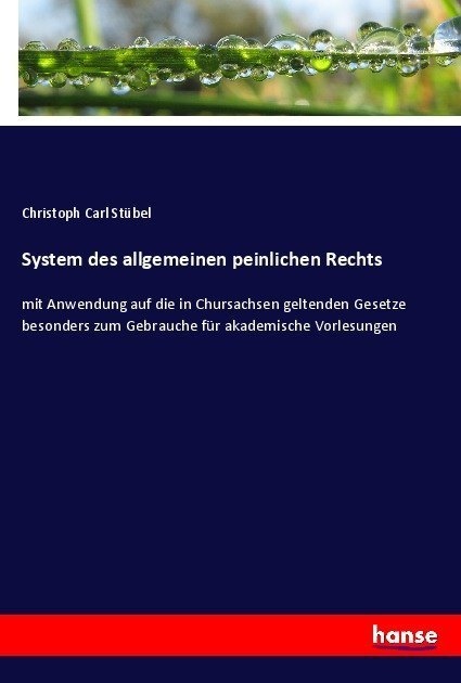 System Des Allgemeinen Peinlichen Rechts - Christoph Carl Stübel  Kartoniert (TB)