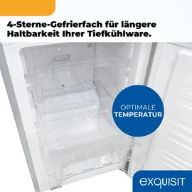 Exquisit KGC5195-65-NF-330E Kühl-Gefrierkombination (193 l, 1575 mm hoch, Silber)