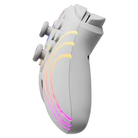 PDP Afterglow Wave Controller Weiss Nintendo Switch