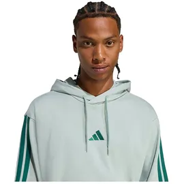 adidas Essentials 3-Streifen Kapuzenpullover Herren Wonder Sage/Collegiate Green S