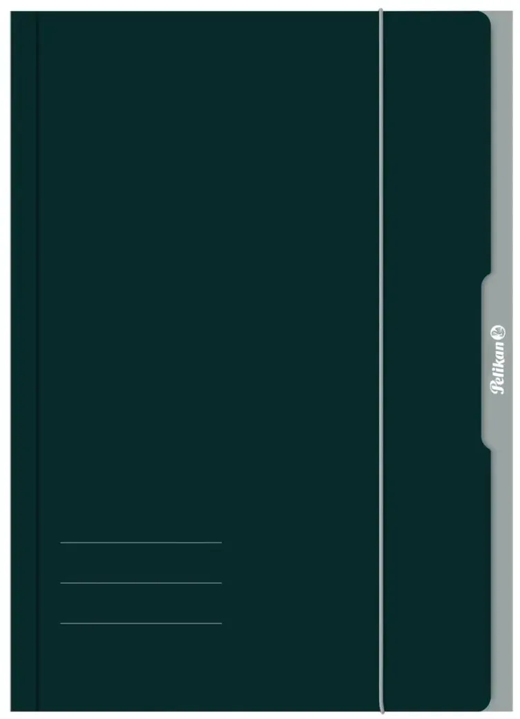 Pelikan 276856 Sammelmappe Karton Grün A3