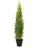 Europalms Zypresse, Leyland, 120cm