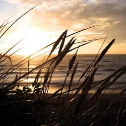 Keilrahmenbild Sylt
