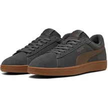 Puma Smash 3.0 Unisex Grau/Bronze 42