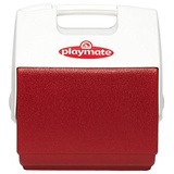 Igloo Playmate Pal 6 l rot