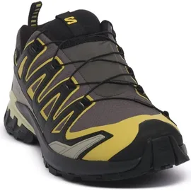 Salomon XA Pro 3D V9 GTX Herren Urban Chic/Black/Cress Green 44