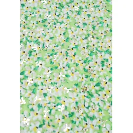 HARPA Modeschal HARPA "PEPPER", Damen, grün, goldfarben, Viskose, bedruckt, geblümt, mehrfarbig, Modetücher, mit floralem Allover-Print und Metallic-Effekt