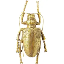 Kare Wandschmuck, Gold,