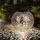 GLOBO LED Solarlampe Kugellampe Metall DxH 28,5 x 40 cm silber antik