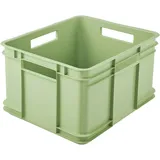 KEEEPER Aufbewahrungsbox Euro-Box XL Bruno eco\", green"
