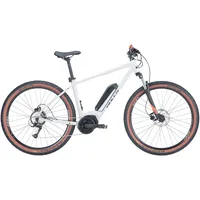 BULL'S Bulls LT Performance 29 - 29 Zoll 545Wh