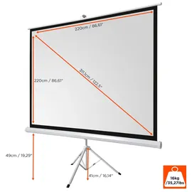 Celexon basic Stativ-Leinwand 120" | 220x220 cm 1:1 | mobile transportable 4K, Full-HD Leinwand | Beamerleinwand mit Stativ für Heimkino- und Büropräsentationen | Blitzschneller Aufbau in 3 Schritten
