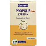 Hoyer Bio Propolis forte Kapseln 30 St.