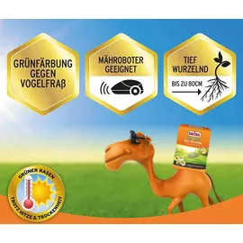 Substral Rasensamen Der Sonnige 1,125 kg für 50 m2