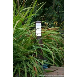 Licht-Erlebnisse Wegeleuchte LUICIA Rost Optik Aluminium LED 3W LE57381