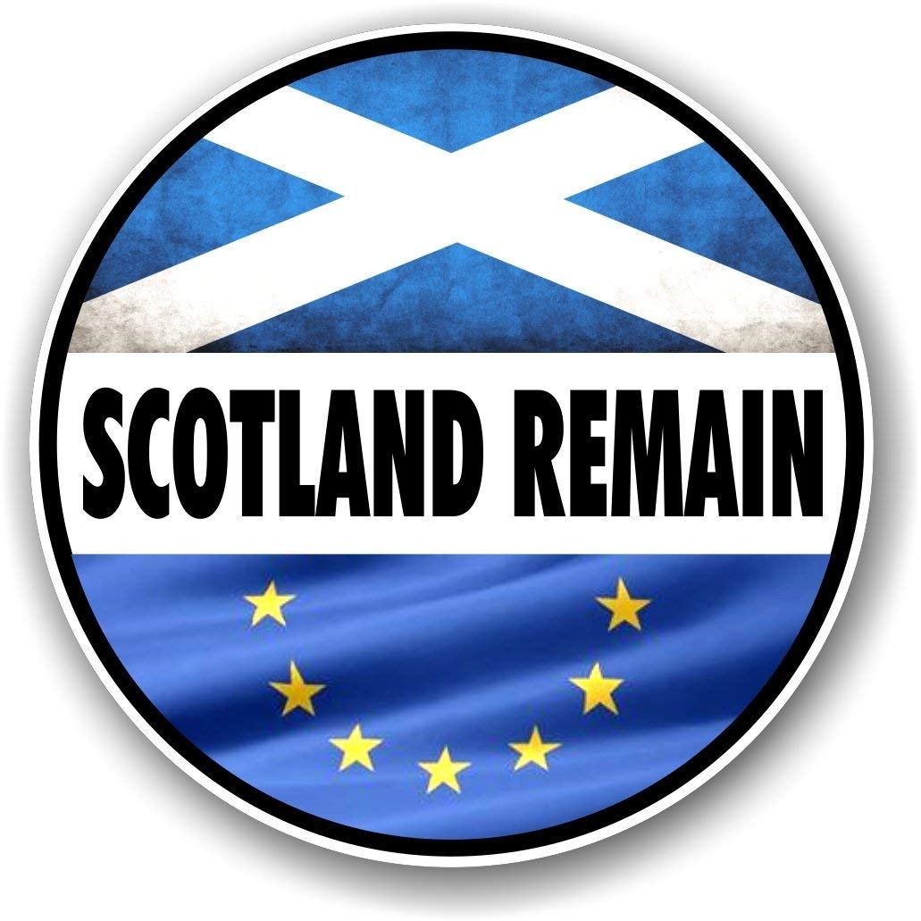Doppelpack von ' Schottland REMAIN ' Motto-design für Schottland Schottische Flagge EU europäisch Union Referendum Brexit Kampagne Vinyl Auto Autoaufkleber Abziehbild 80x80mm jede
