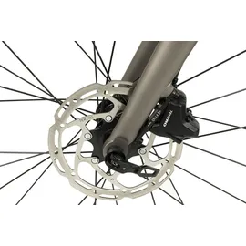 TOTEM Urban E-Bike Fitness 28 Zoll RH 51 cm Unisex platin