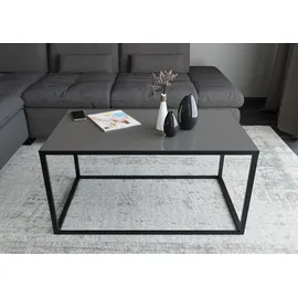 Set One by Musterring Reno Grau Glas 100 x 50 x 60 cm