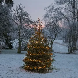 Star Trading Star LED-Lichterkette 'Akku', 160 warmwhite LED, - Schwarz