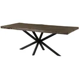 MASSIVMOEBEL24.DE Baumtisch Mango 200 x 76 x 100 cm grau