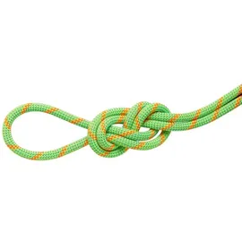 Mammut 8.0 Alpine Dry Halbseil Blau/Orange