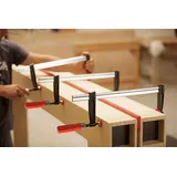 Bessey Tempergusszwinge 2-Komponentengriff mit Schutzkappen