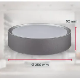 B.K.Licht - LED Deckenlampe mit neutralweißer Lichtfarbe, 12 Watt, 1200 Lumen, LED Deckenleuchte, Lampe, Wohnzimmerlampe, Schlafzimmerlampe, Küchenlampe, Deckenbeleuchtung, 25x5,2 cm, Silberfarbig