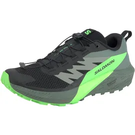 Salomon Sense Ride Herren Black/Laurel Wreath/Green Gecko 41 1/3