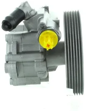 SPIDAN Hydraulikpumpe, Lenkung 52918 für Citroën/Peugeot