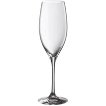 WMF Easy Plus Sektglas 0,25 l 6 St.